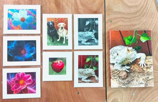 mounted photography prints of flowers, two dogs, a strawberry and a lizard plus photo canvas of a lizard